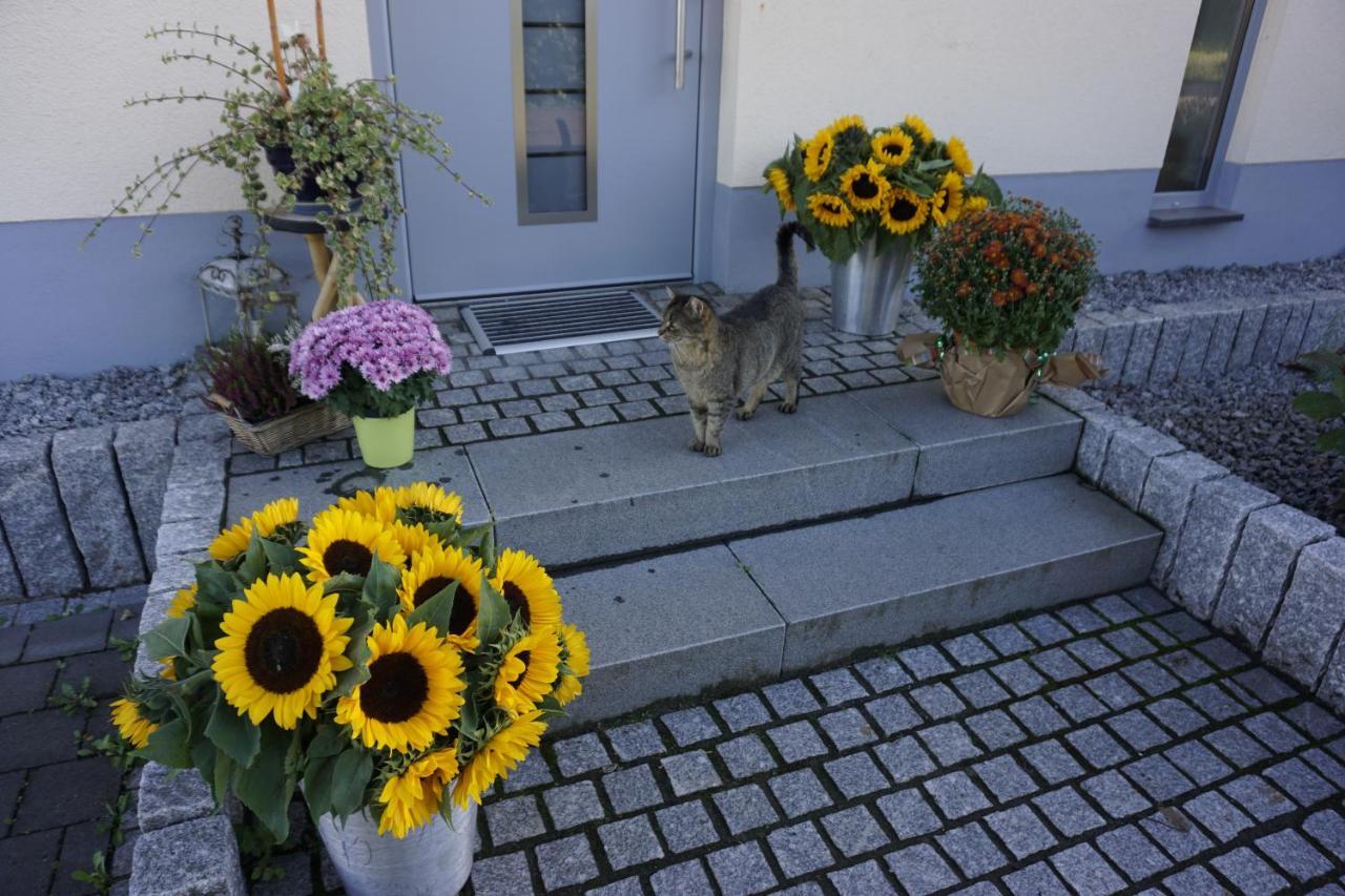 Rieslingstube Bei Britta & Joachim Apartment Undenheim ภายนอก รูปภาพ